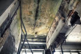 Best Emergency Mold Remediation  in East Syracuse, NY